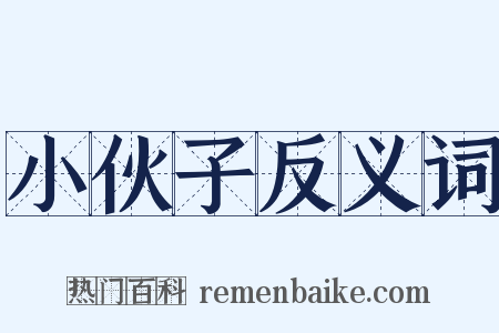 小伙子反义词是什么意思的图片